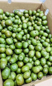 345911888_986356435713672_6997395393142267409_n