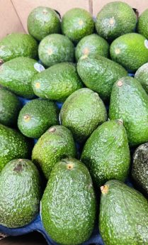 346041238_620927746598443_3255561258934846891_n