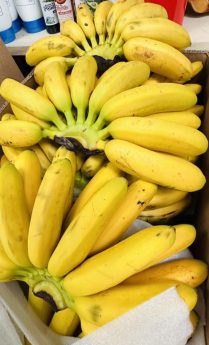 346055790_581497547413049_7838808639203213061_n